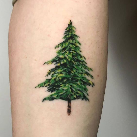 Meaning of pine tree tattoo and some examples 