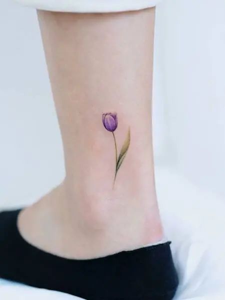 Crocus Flower Meaning and Symbolism  Flower Fabulous