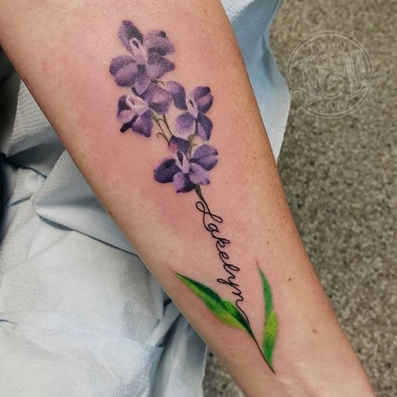 Darkest Light  Tattoo Artist on Twitter A Larkspur tattoo Almost  finished with all these birth month flowers         blue  larkspur july birthday flowers tattoo 
