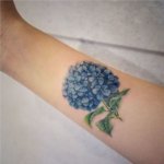 Meaning of hydrangea tattoo