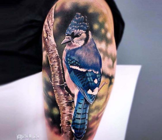 Blue Jay and Canadian themed half sleeve done by Janice sosoink at  Chronic Ink Tattoo  Toronto Canada  Blue jay tattoo Tattoos for guys  Tattoo toronto