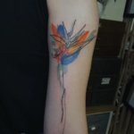Bird of paradise watercolor tattoos: A tropical addition to your body art collection
