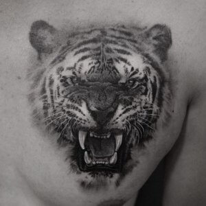 Meaning of aggressive predators tattoo 3
