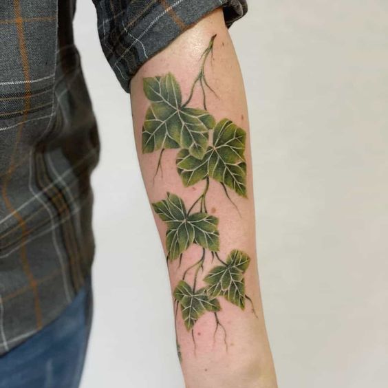 Ivy Tattoo Meaning: The Artistic and Spiritual Implications of an Ancient Symbol