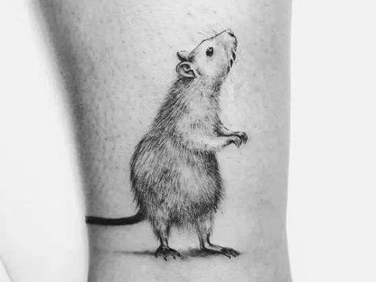 Intricate rat tattoo design representing the various symbolisms associated with the creature.