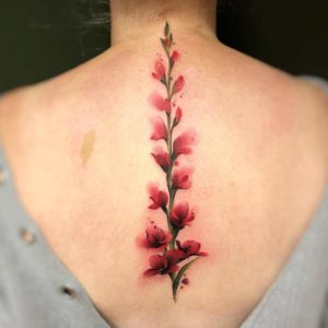 Watercolor Gladiolus back Tattoo Masterpieces!