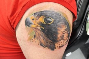 falcon realistic tattoo 6
